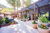 Contemporary metal pergola, Floor-to-ceiling glass windows on modern building, Dining areas with minimalist tables and chairs, Surrounded by tall evergreen trees in a peaceful setting